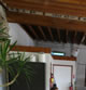 [Gallery Photo]