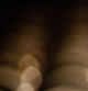 [Gallery Photo]