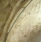 [Gallery Photo]