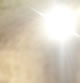 [Gallery Photo]